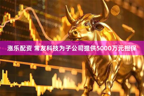 涨乐配资 常友科技为子公司提供5000万元担保