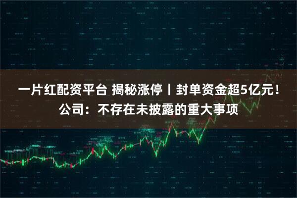 一片红配资平台 揭秘涨停丨封单资金超5亿元！公司：不存在未披露的重大事项