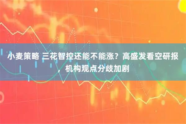 小麦策略 三花智控还能不能涨？高盛发看空研报，机构观点分歧加剧