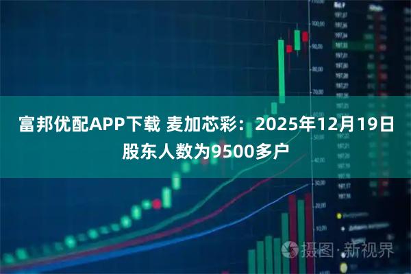 富邦优配APP下载 麦加芯彩：2025年12月19日股东人数为9500多户