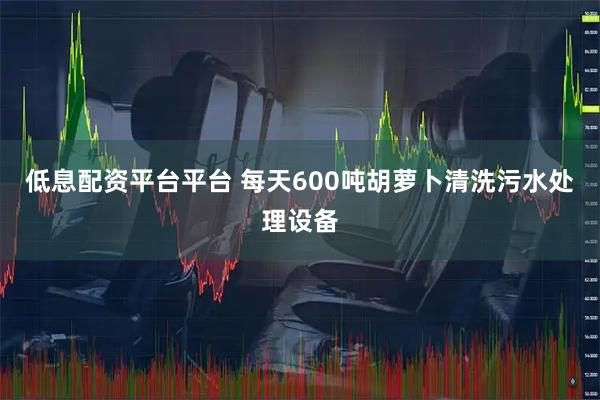 低息配资平台平台 每天600吨胡萝卜清洗污水处理设备